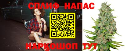 индика Балашиха