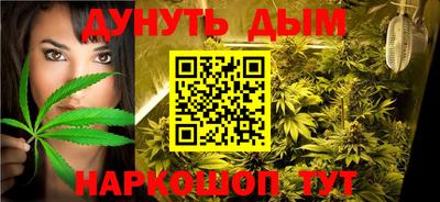 гидра Гай