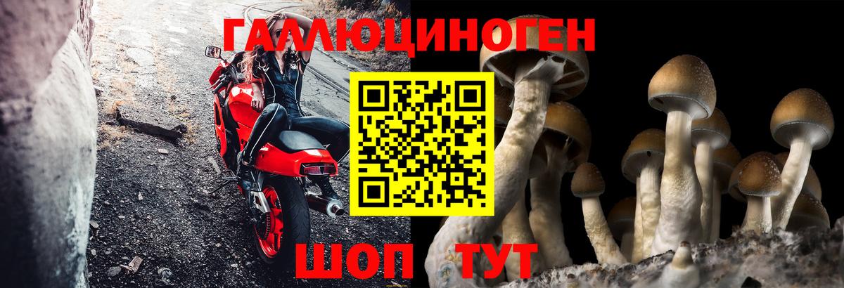 Галлюциногенные грибы прущие грибы  Вход с VPN  Краснодар 