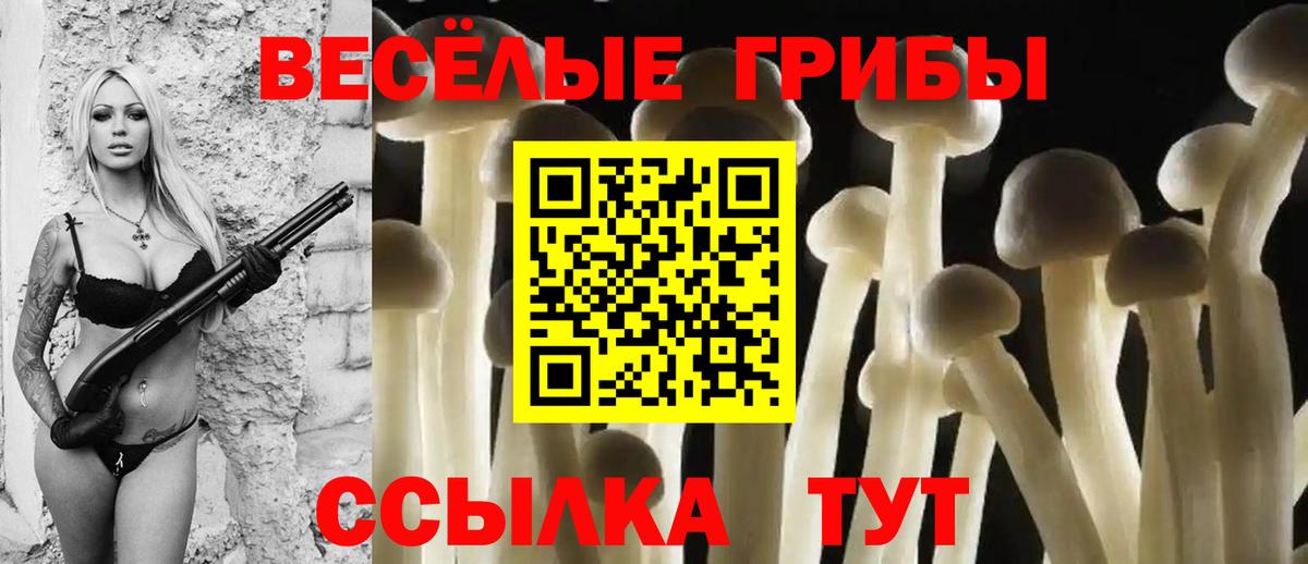 Псилоцибиновые грибы MAGIC MUSHROOMS  наркота  Краснодар 